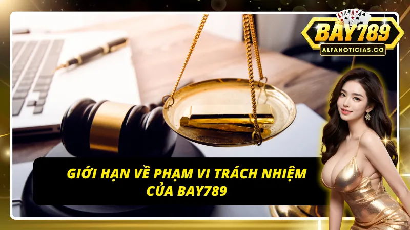 Miễn Trừ Trách Nhiệm BAY789 - Trách Nhiệm Của Người Chơi 3 Giới hạn phạm vi trách nhiệm